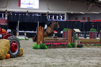 2025 - Shea - Royal West - Tuesday October 21st - 00944