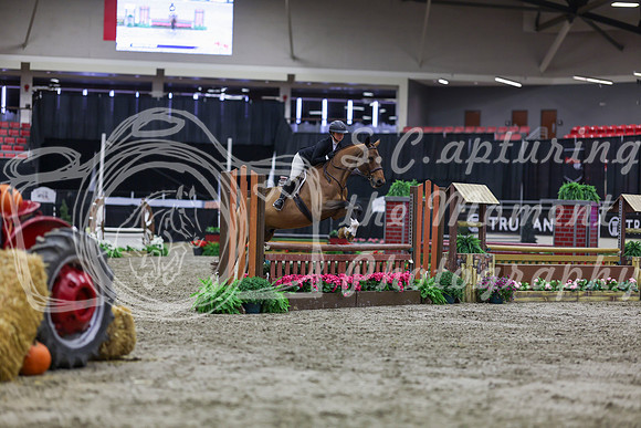2025 - Shea - Royal West - Tuesday October 21st - 00946