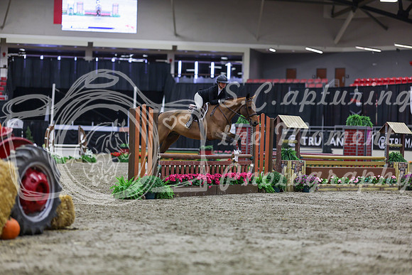 2025 - Shea - Royal West - Tuesday October 21st - 00949