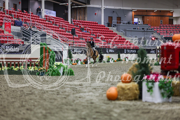 2025 - Shea - Royal West - Tuesday October 21st - 00950