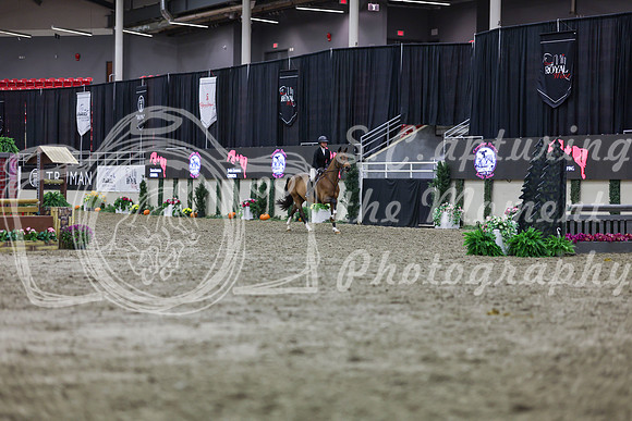 2025 - Shea - Royal West - Tuesday October 21st - 00968