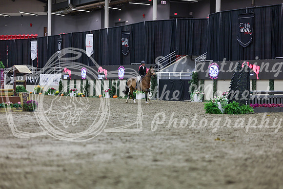 2025 - Shea - Royal West - Tuesday October 21st - 00969