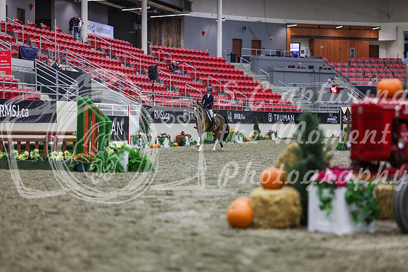 2025 - Shea - Royal West - Tuesday October 21st - 01011