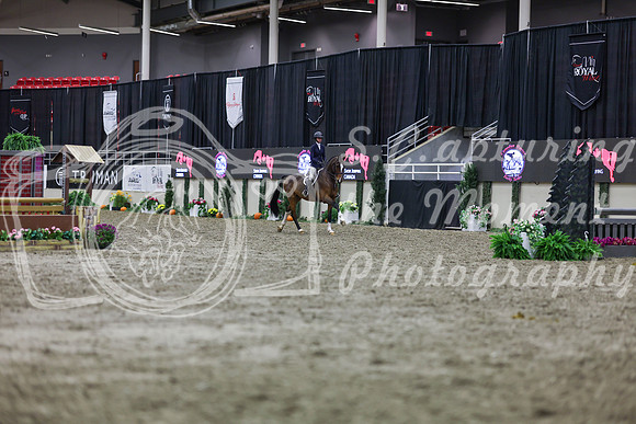 2025 - Shea - Royal West - Tuesday October 21st - 01021