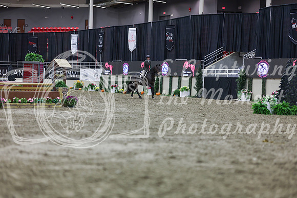 2025 - Shea - Royal West - Tuesday October 21st - 01719