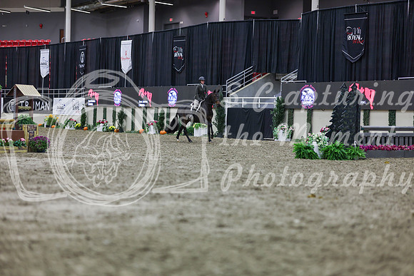 2025 - Shea - Royal West - Tuesday October 21st - 01724
