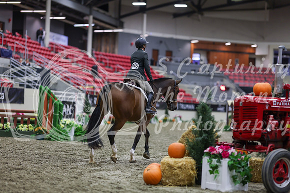 2025 - Shea - Royal West - Tuesday October 21st - 00723