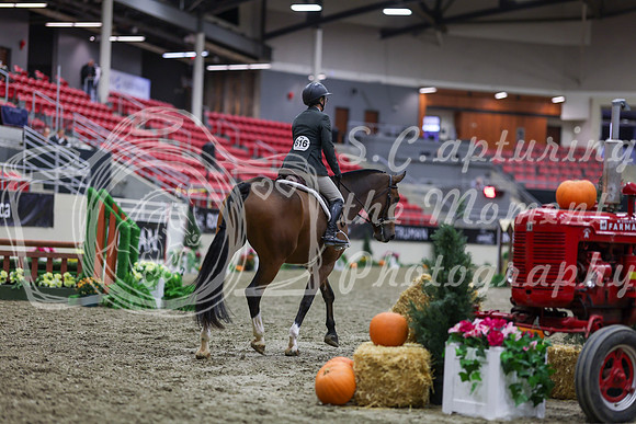 2025 - Shea - Royal West - Tuesday October 21st - 00724