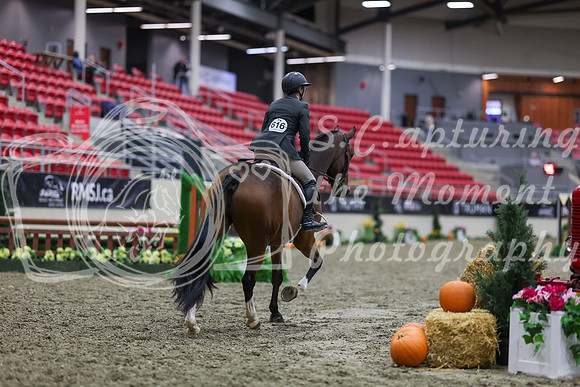 2025 - Shea - Royal West - Tuesday October 21st - 00737