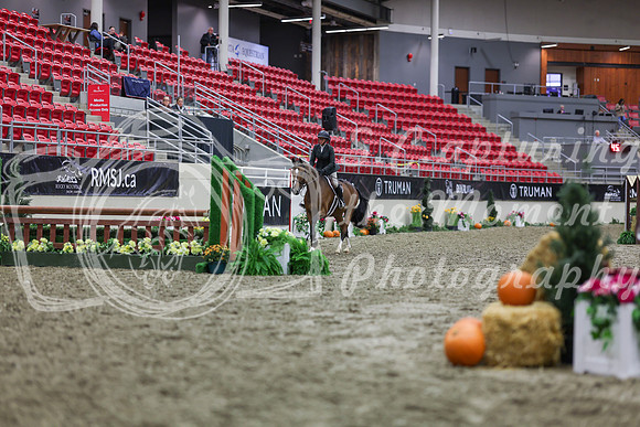 2025 - Shea - Royal West - Tuesday October 21st - 00740