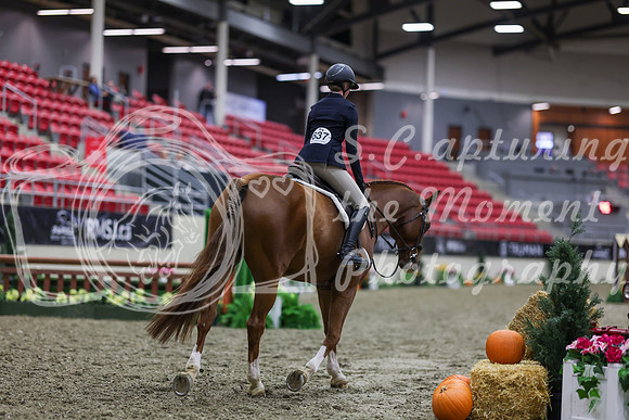 2025 - Shea - Royal West - Tuesday October 21st - 00776