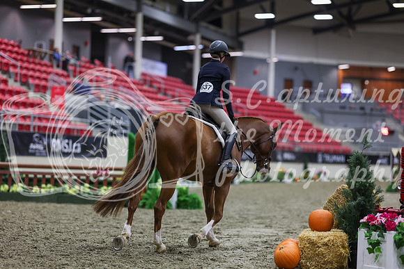 2025 - Shea - Royal West - Tuesday October 21st - 00777