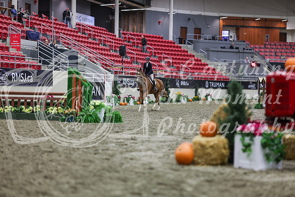 2025 - Shea - Royal West - Tuesday October 21st - 00784