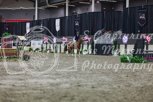 2025 - Shea - Royal West - Tuesday October 21st - 00795