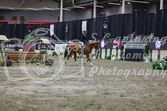 2025 - Shea - Royal West - Tuesday October 21st - 00811