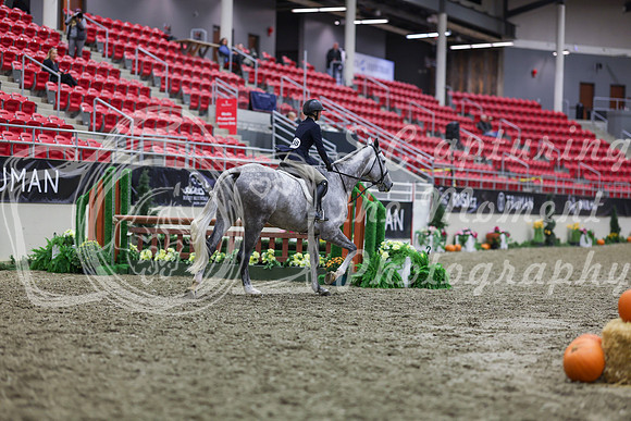2025 - Shea - Royal West - Tuesday October 21st - 00918