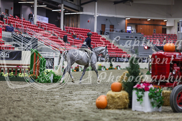 2025 - Shea - Royal West - Tuesday October 21st - 00921