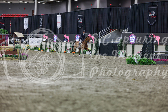 2025 - Shea - Royal West - Tuesday October 21st - 01625
