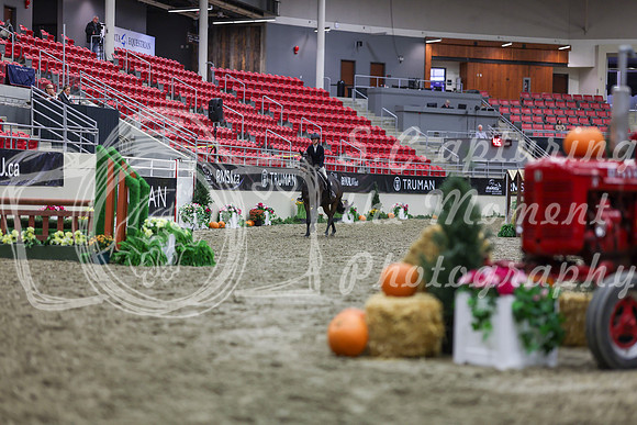 2025 - Shea - Royal West - Tuesday October 21st - 00838