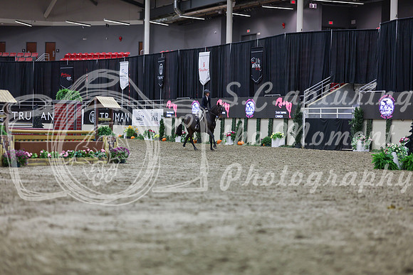 2025 - Shea - Royal West - Tuesday October 21st - 00850