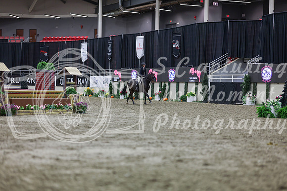 2025 - Shea - Royal West - Tuesday October 21st - 00851