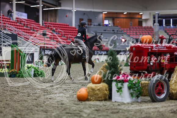 2025 - Shea - Royal West - Tuesday October 21st - 01553