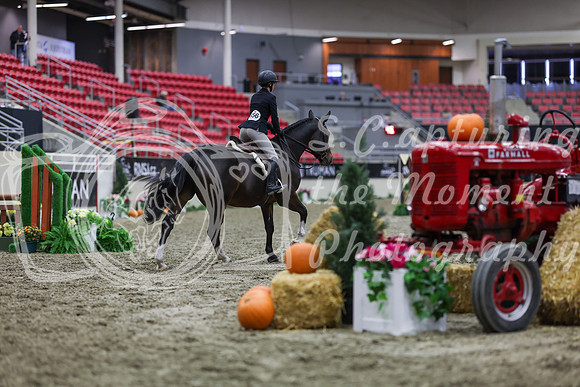 2025 - Shea - Royal West - Tuesday October 21st - 01554
