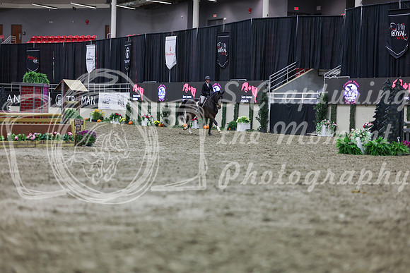 2025 - Shea - Royal West - Tuesday October 21st - 01565