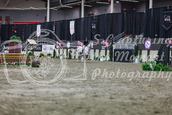 2025 - Shea - Royal West - Tuesday October 21st - 01065