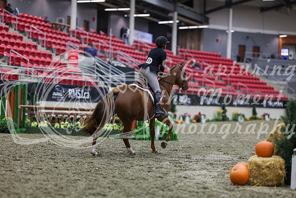 2025 - Shea - Royal West - Tuesday October 21st - 01318