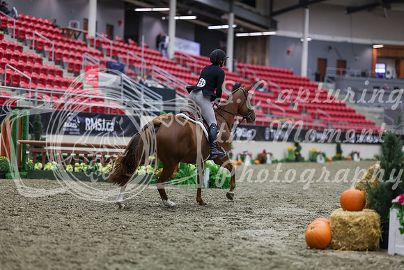 2025 - Shea - Royal West - Tuesday October 21st - 01319