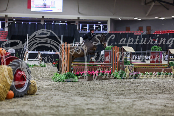 2025 - Shea - Royal West - Tuesday October 21st - 01374
