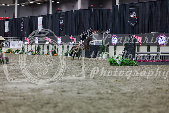 2025 - Shea - Royal West - Tuesday October 21st - 01390