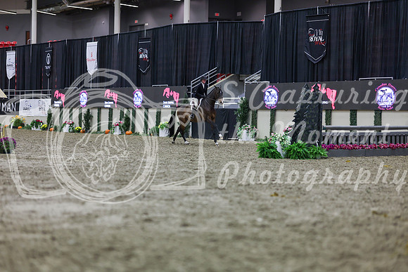 2025 - Shea - Royal West - Tuesday October 21st - 01391