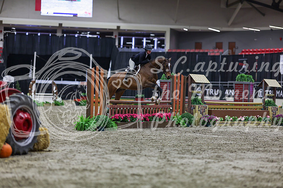 2025 - Shea - Royal West - Tuesday October 21st - 01507