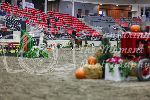 2025 - Shea - Royal West - Tuesday October 21st - 01509