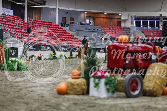 2025 - Shea - Royal West - Tuesday October 21st - 00620