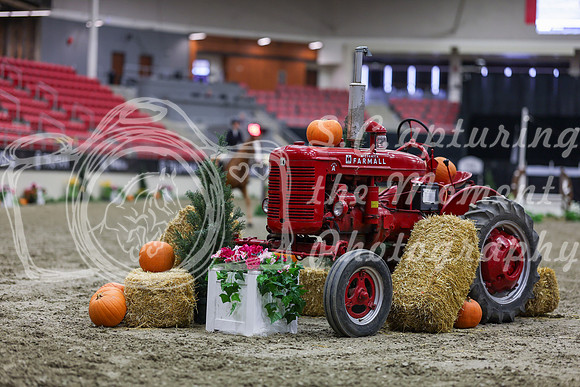 2025 - Shea - Royal West - Tuesday October 21st - 00623