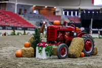 2025 - Shea - Royal West - Tuesday October 21st - 00624