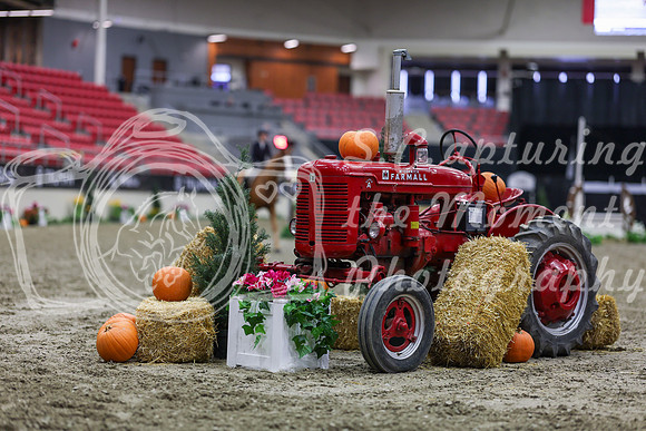 2025 - Shea - Royal West - Tuesday October 21st - 00624