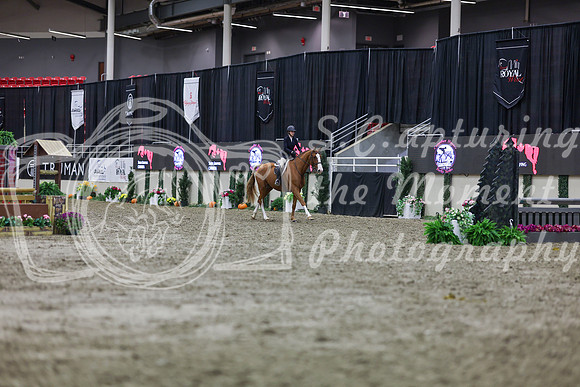 2025 - Shea - Royal West - Tuesday October 21st - 00644