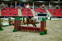 2025 - Haylee - Royal West - Tuesday October 21st - 08526