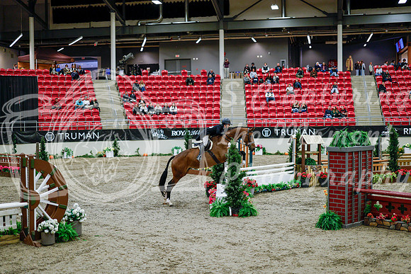 2025 - Haylee - Royal West - Tuesday October 21st - 08535