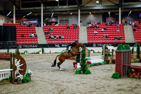 2025 - Haylee - Royal West - Tuesday October 21st - 08532