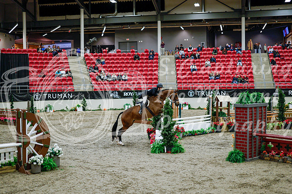 2025 - Haylee - Royal West - Tuesday October 21st - 08534