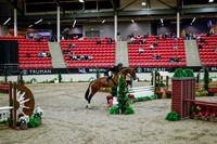 2025 - Haylee - Royal West - Tuesday October 21st - 08536