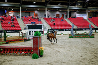 2025 - Haylee - Royal West - Tuesday October 21st - 08540