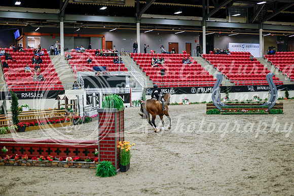 2025 - Haylee - Royal West - Tuesday October 21st - 08540