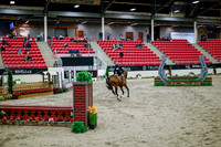 2025 - Haylee - Royal West - Tuesday October 21st - 08541