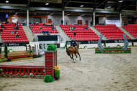 2025 - Haylee - Royal West - Tuesday October 21st - 08542